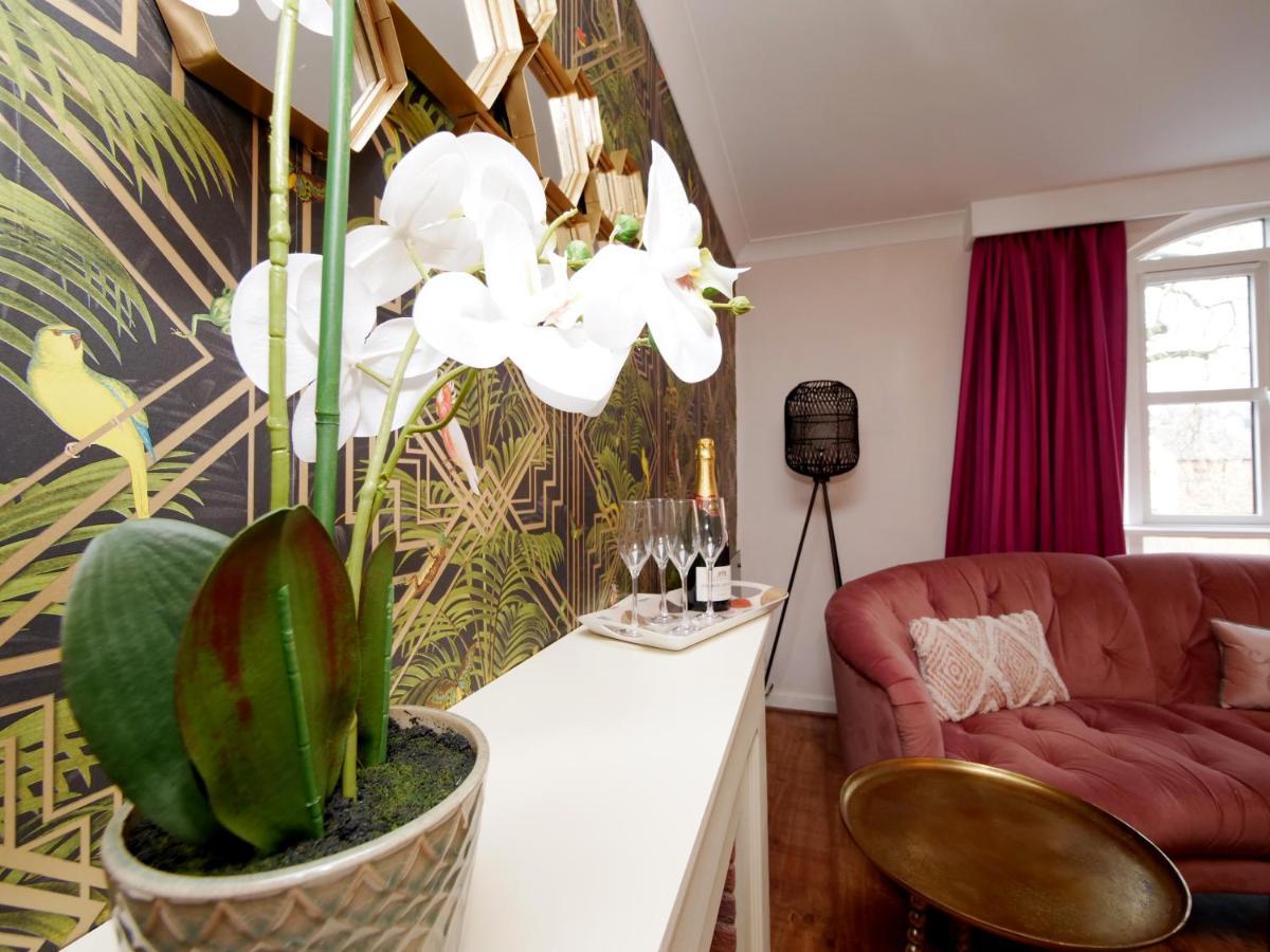 Forget-Me-Not House 3 Bed Home In York Centre - Free Parking Zewnętrze zdjęcie